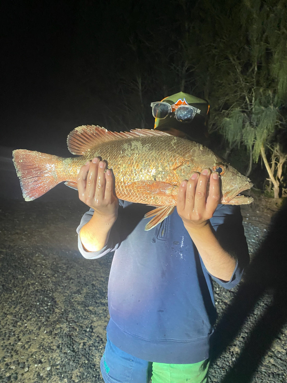 Gold Coast Mangrove Jack