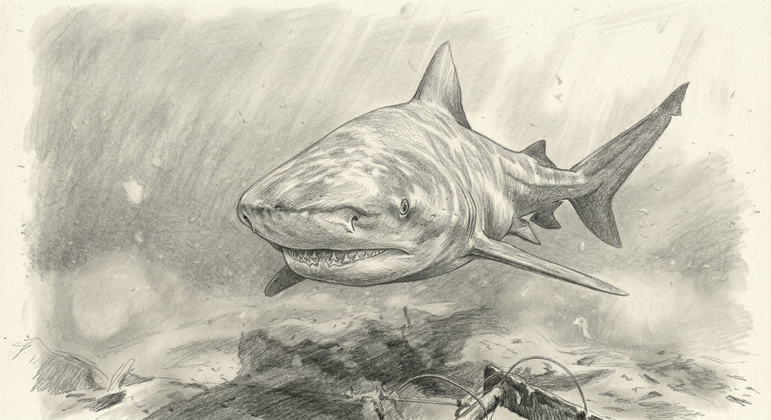 Bull Shark Caps: Fishing Gear with Bite - Outfished