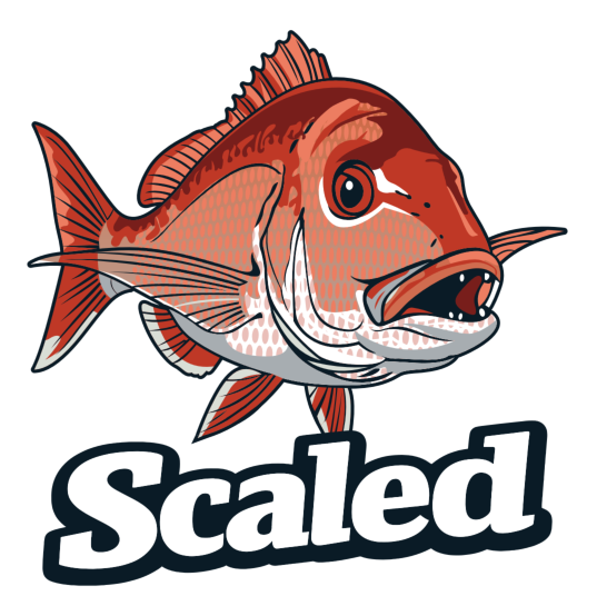 The Knobby - Snapper